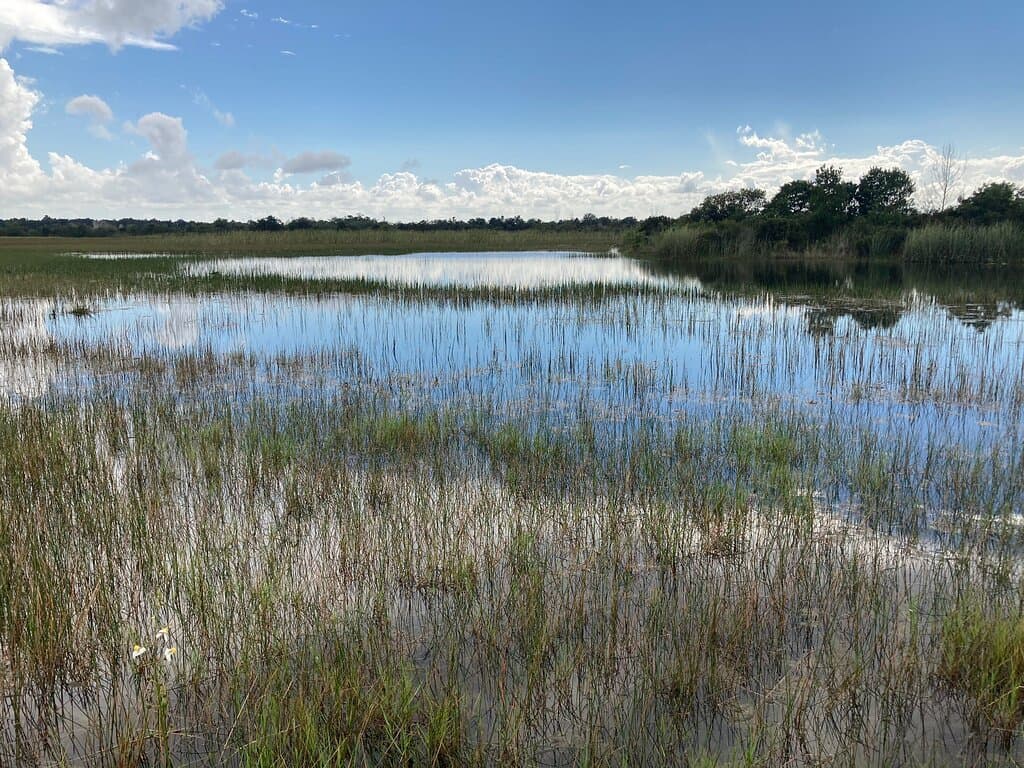 Chapel Trial Nature Preserve