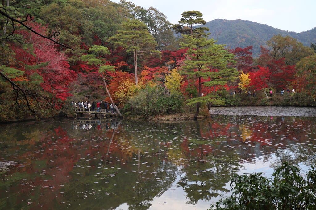 神戸市立森林植物園