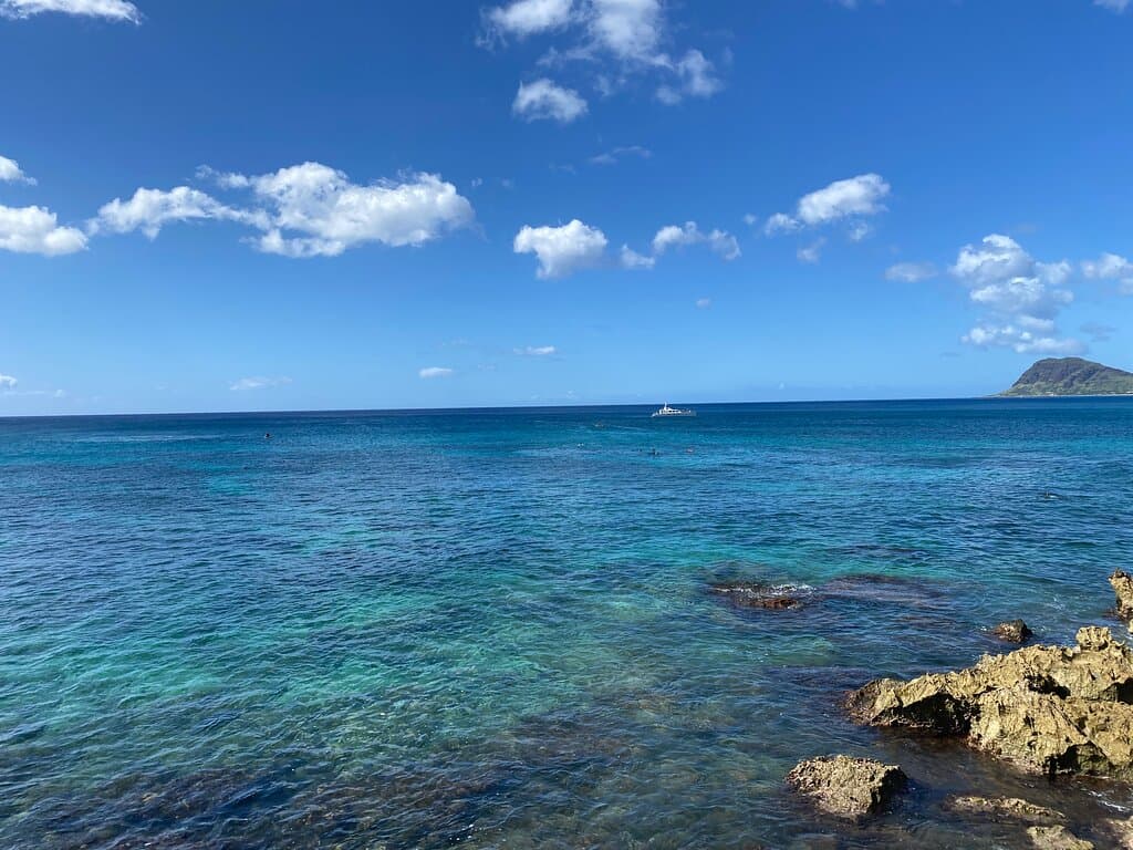 Clear water with dolphins in distance.