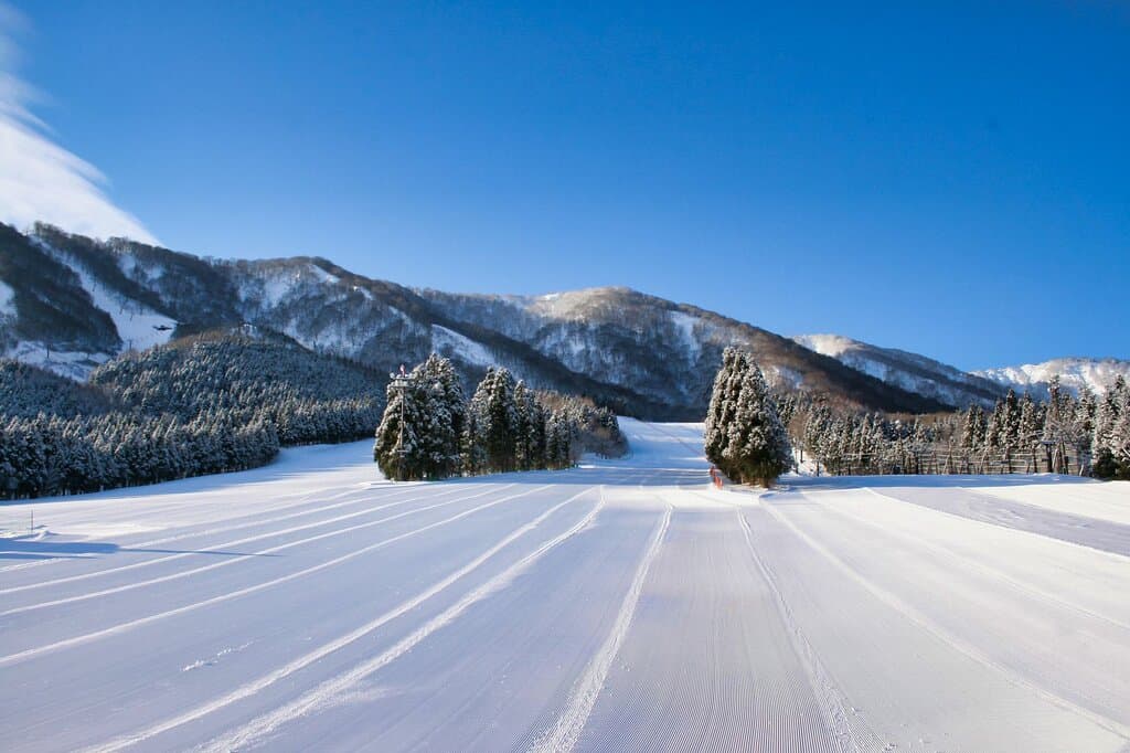 オールディフィールド