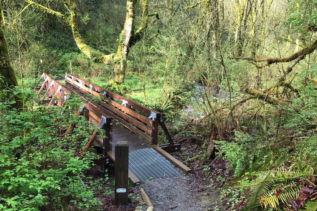 Coal Creek Natural Area