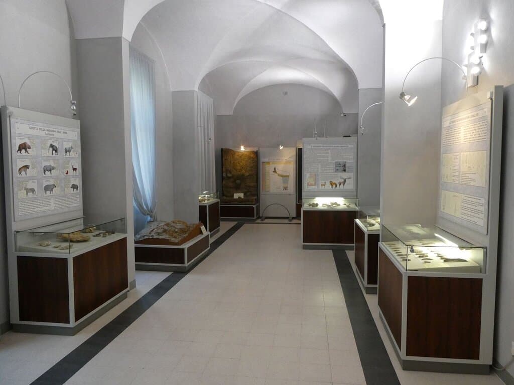 exhibits of prehistory