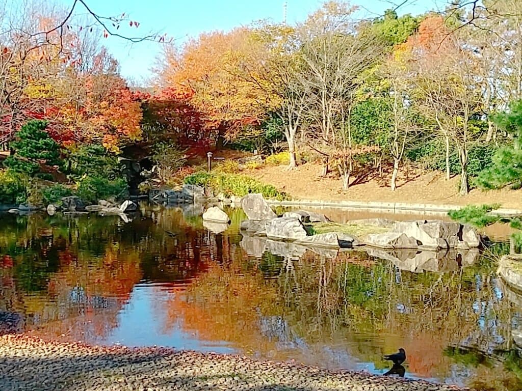 ここには都会を忘れる優雅な空間がありますね。池と紅葉。