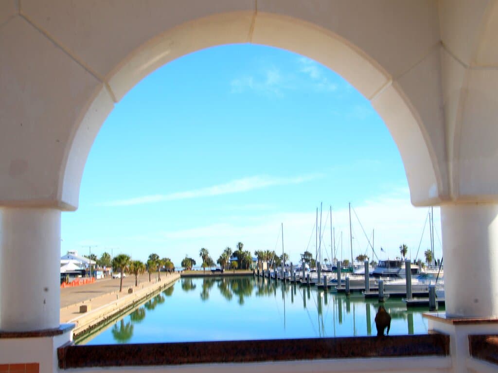 view from the Selena statue, towards the bayfront