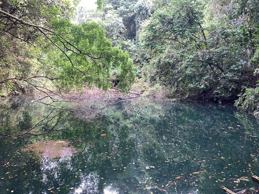 Hike the Keppel Hill Reservoir Trail