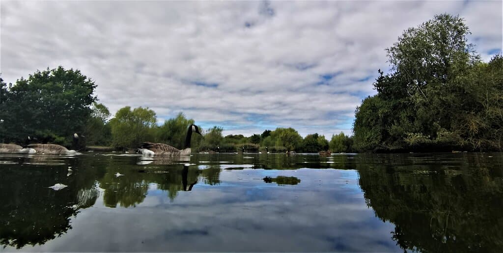 Tuesday 08th September 2020. Hornchurch Country Park walk