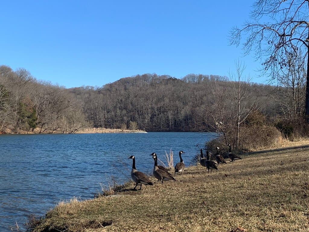 Warriors' Path State Park