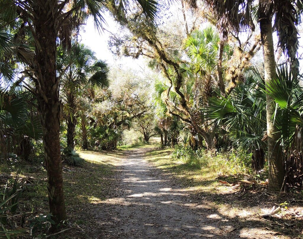 Entrance to the Yellow Trail