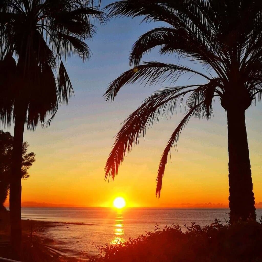 Wintery morning in Estepona 