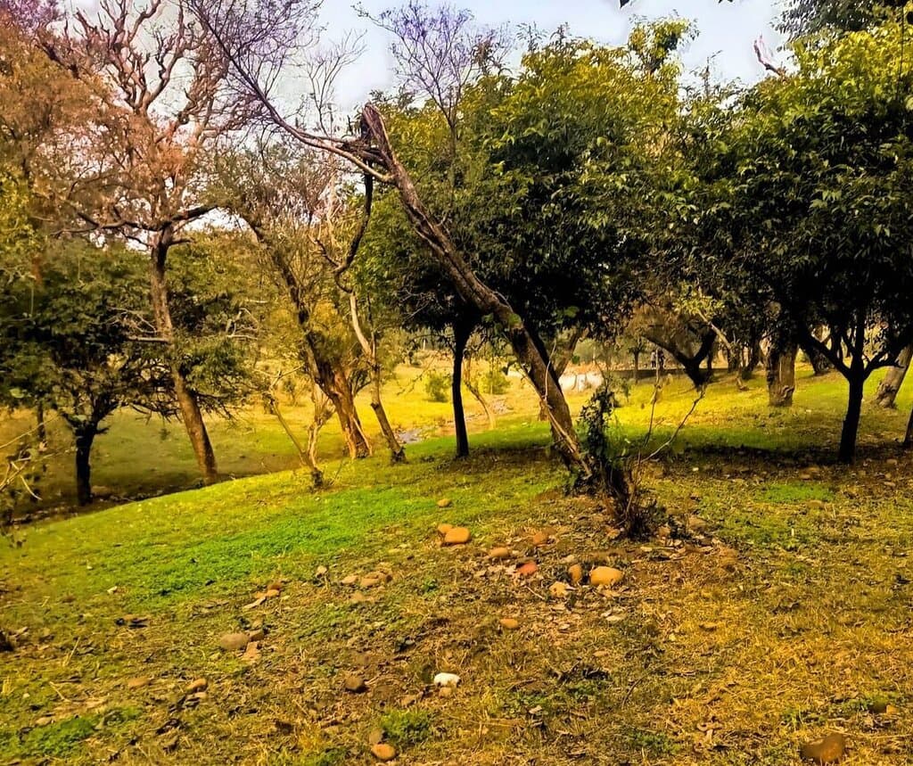 Jammu Mini Zoo Manda Zoo