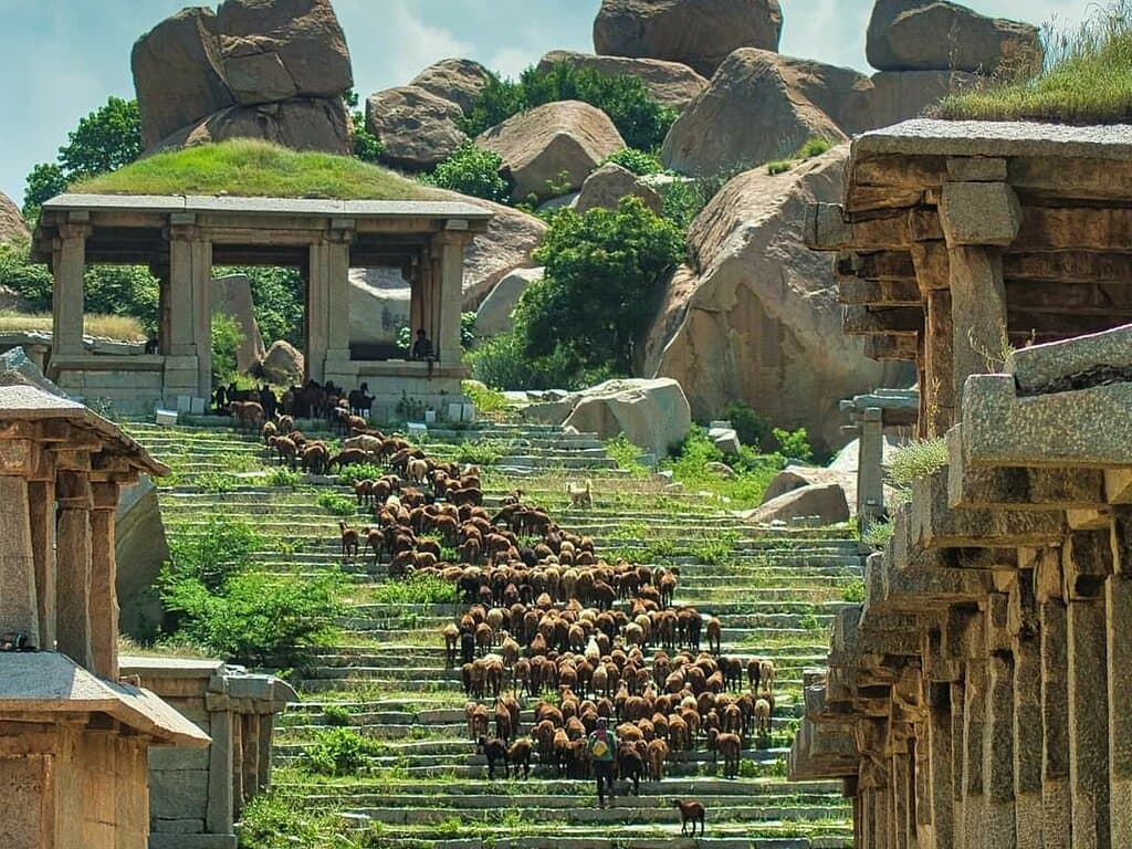 Happy hampi tour explore