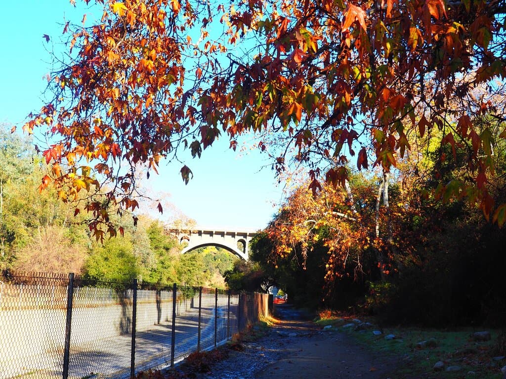 Lower Arroyo Park Area