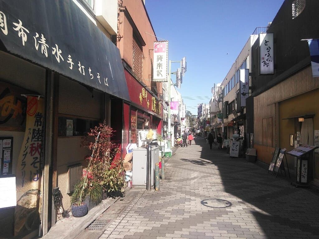 Tenjin-dori Shopping Street
