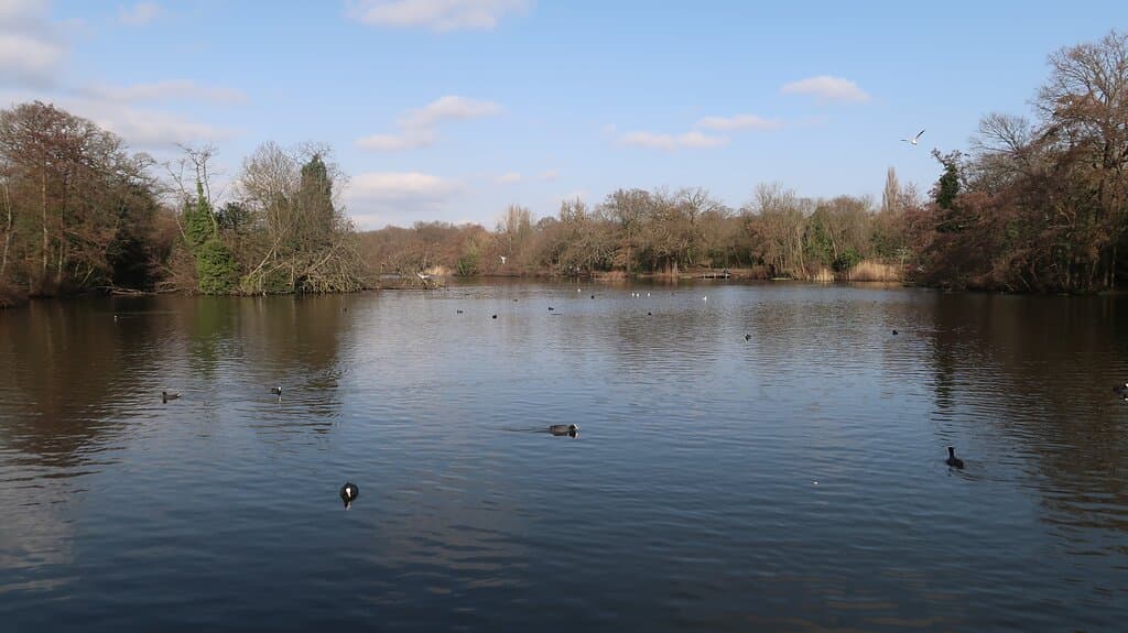 The lake