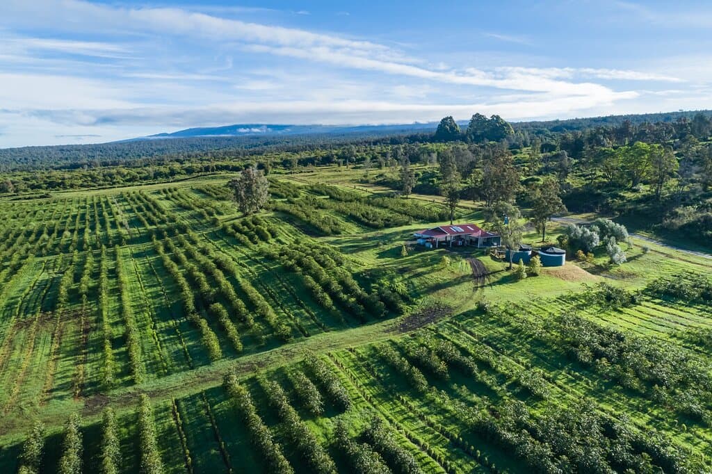 Welcome to Greenwell Farms.