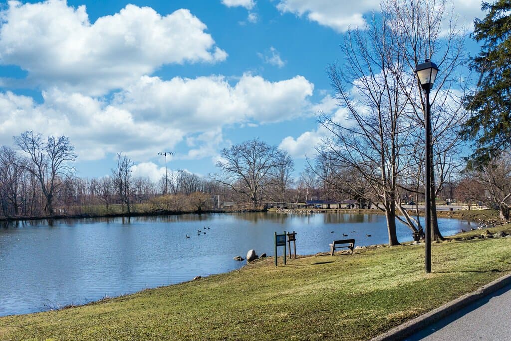 Delightful pond ... Will Draper 2021