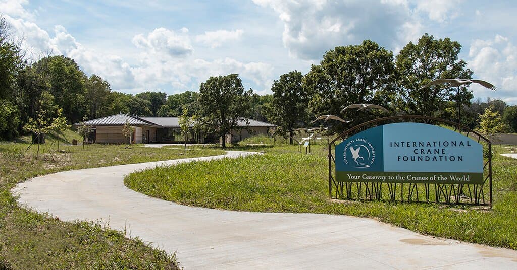 Our new entrance welcomes visitors to our renovated site – your gateway to the cranes of the world!