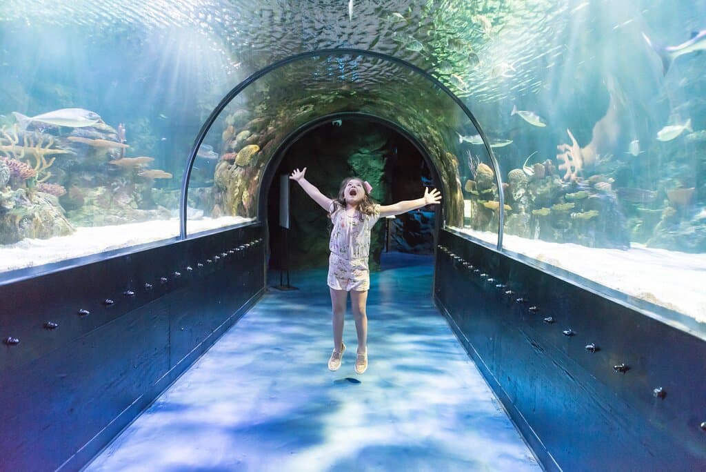 Ocean tunnel