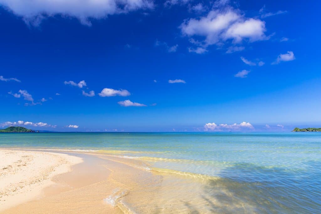It may be spring, but Ishigaki Island in Okinawa Prefecture is already giving us a summery feel! Japan's southernmost city opens its beaches to the public around the second half of March. If you prefer being on land, enjoy hiking up Mt. Omoto instead. You'll be rewarded with spectacular views of the whole island and the surrounding islands. Click here to read about Japan’s tropical paradise!  https://www.japan.travel/en/destinations/okinawa/okinawa/ishigaki-island-and-around/ 