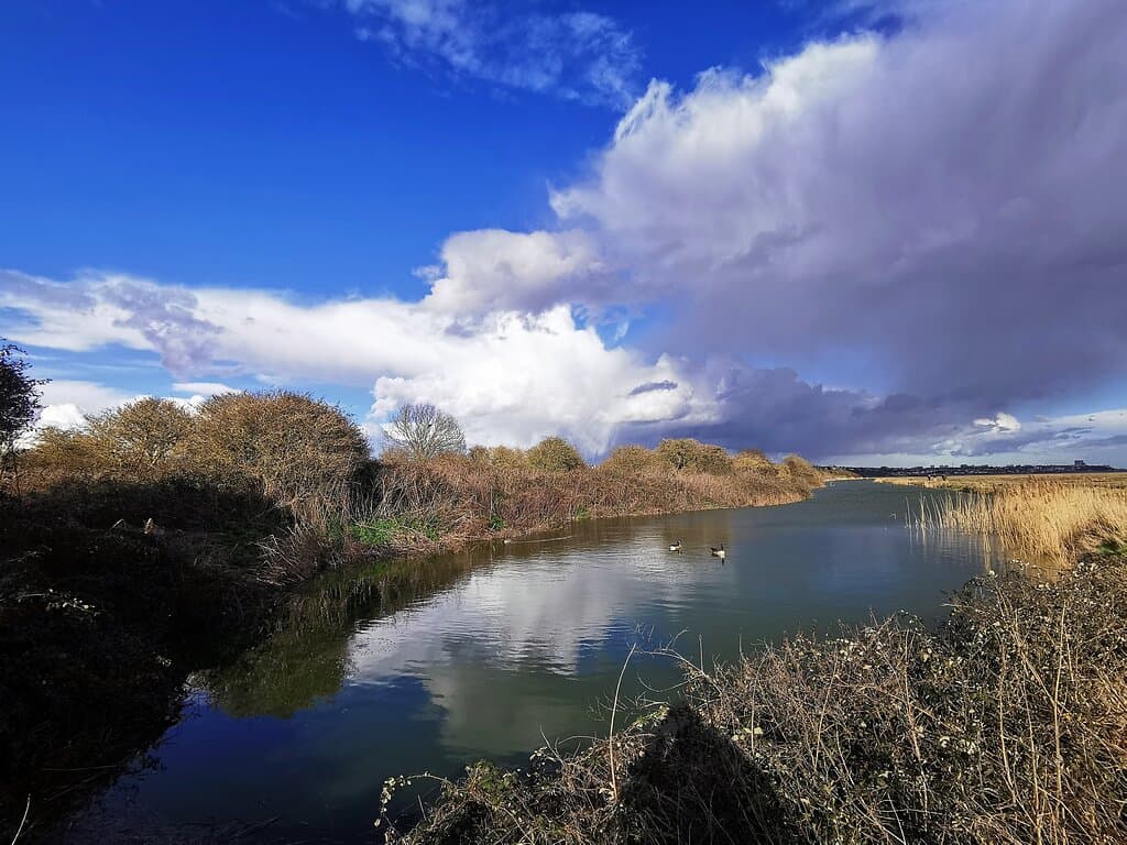 Saturday 13th March 2021 Two Tree Island, Leigh on Sea 