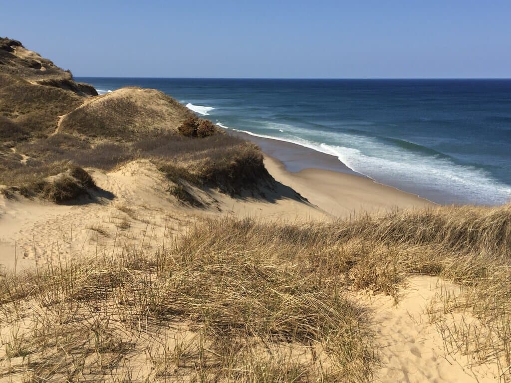 Pamet Cranberry Bog Trail