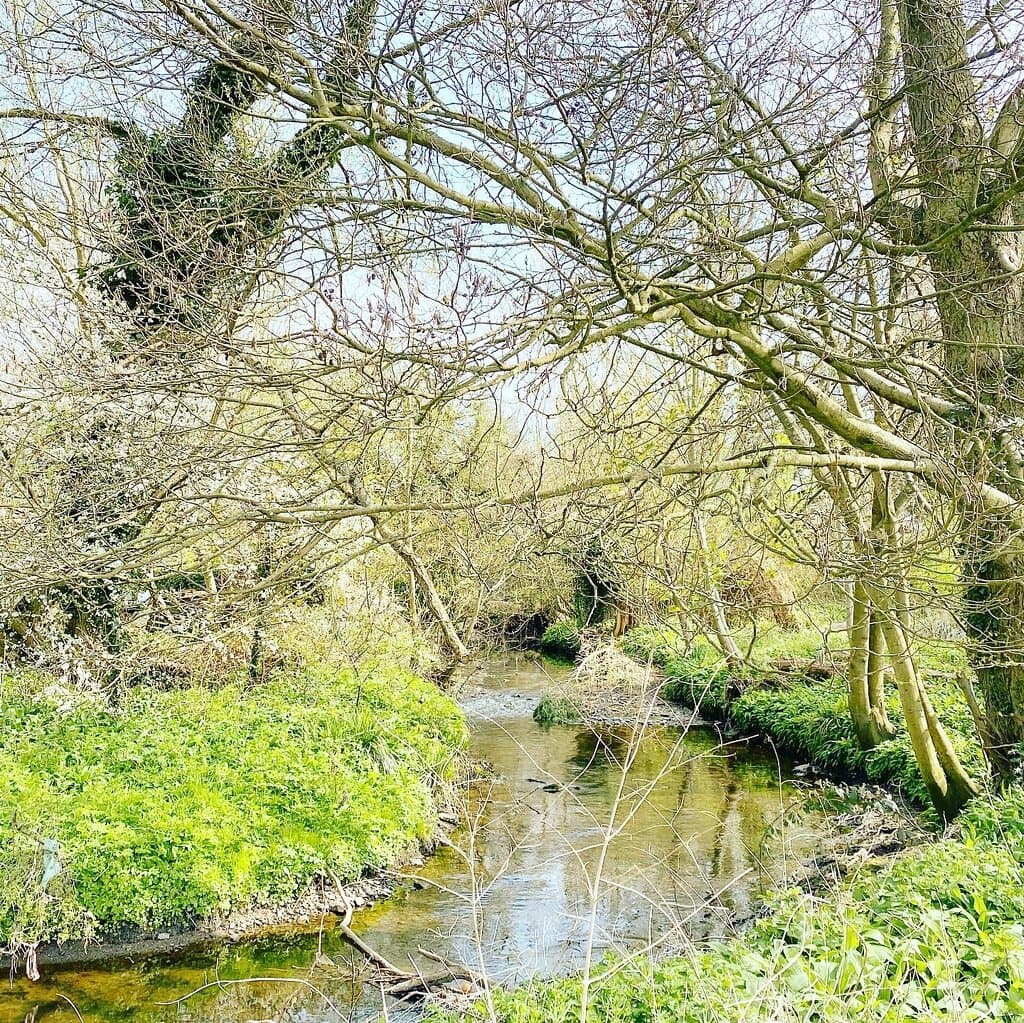 Moseley Bog Birmingham