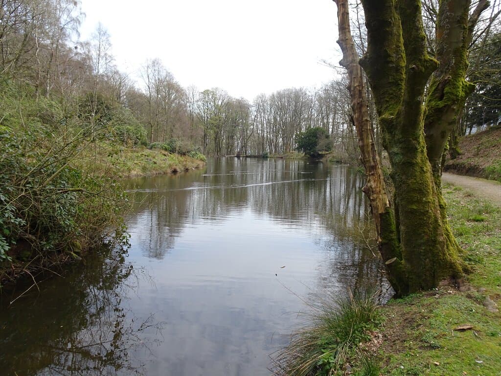 View from far end of pond area
