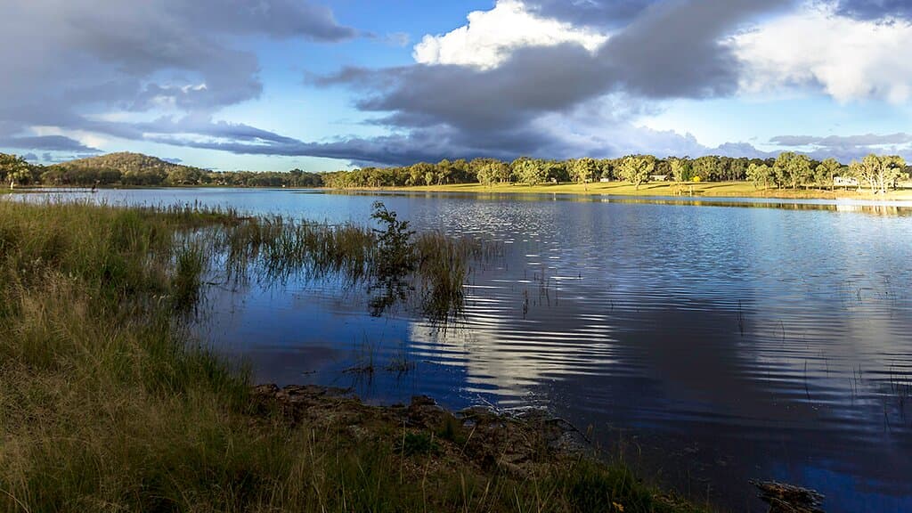DOG FRIENDLY swimming at King Storm Dam, Stanthorpe. Situated in the south-east of town and accessed via Eukey Road. Beautiful rural setting.
