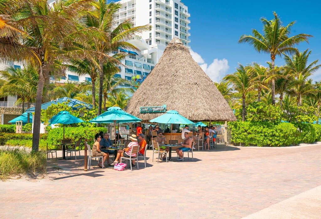 Lone Palm From the Broadwalk