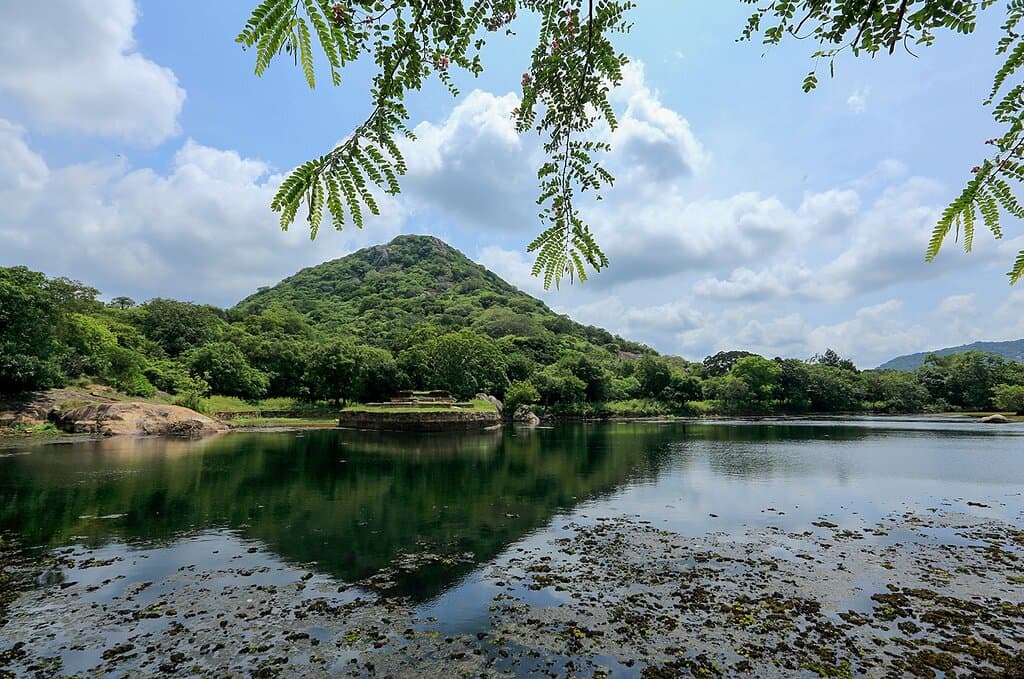 The region of Kaludiya Pokuna is often unexplored. It is a magical region that has a lake, a jungle and ancient ruins amidst it all. . . . . #KaludiyaPokuna #VisitSriLanka #ExploreSriLanka #SoSriLanka #SriLankaTravel #ParadiseIsland #SriLanka