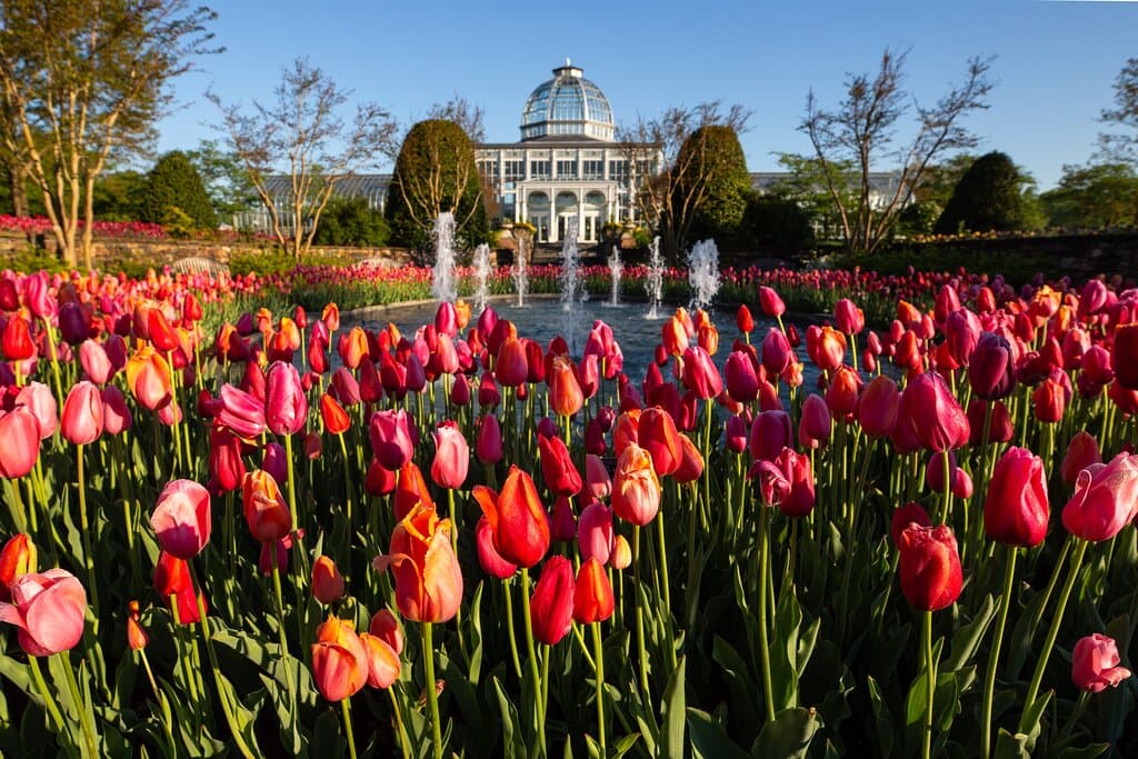 A Million Blooms. Image by Sarah Hauser, Virginia Tourism Corporation