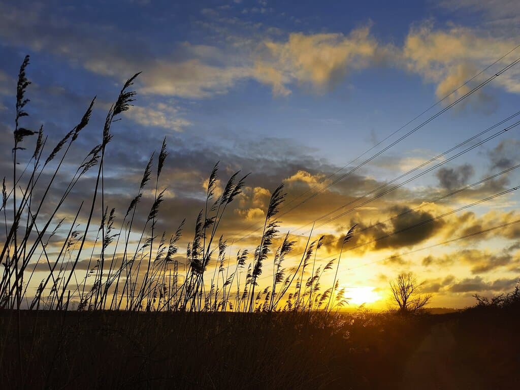 Thursday 25th March 2021. Attempt to visit RSPB Bowers Marsh in Pitsea, aborted as the site was closed following vandalism in Sept 2020, but did afford a beautiful sunset at the closed entrance.
