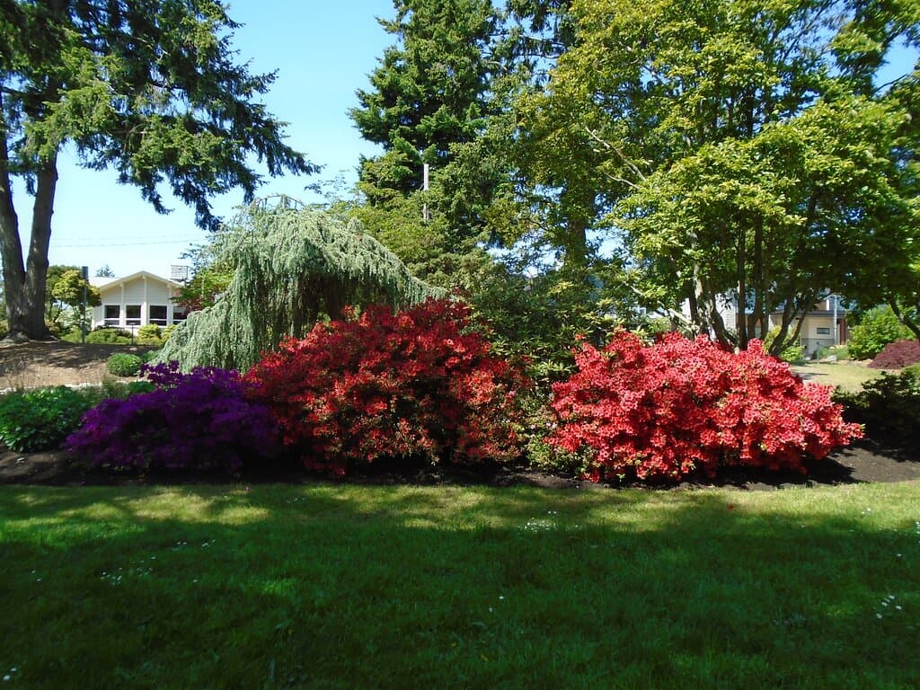 Well landscaped.