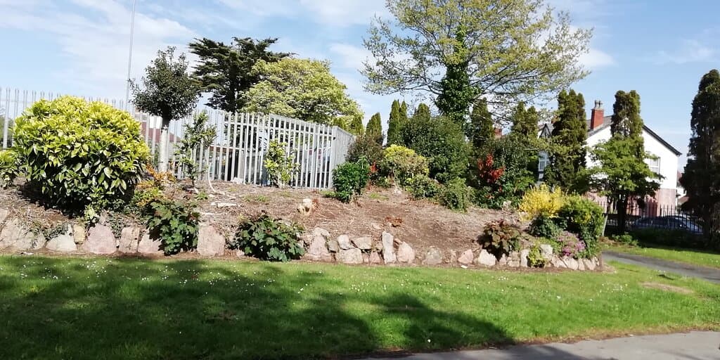Beautiful shrubs in the sunshine