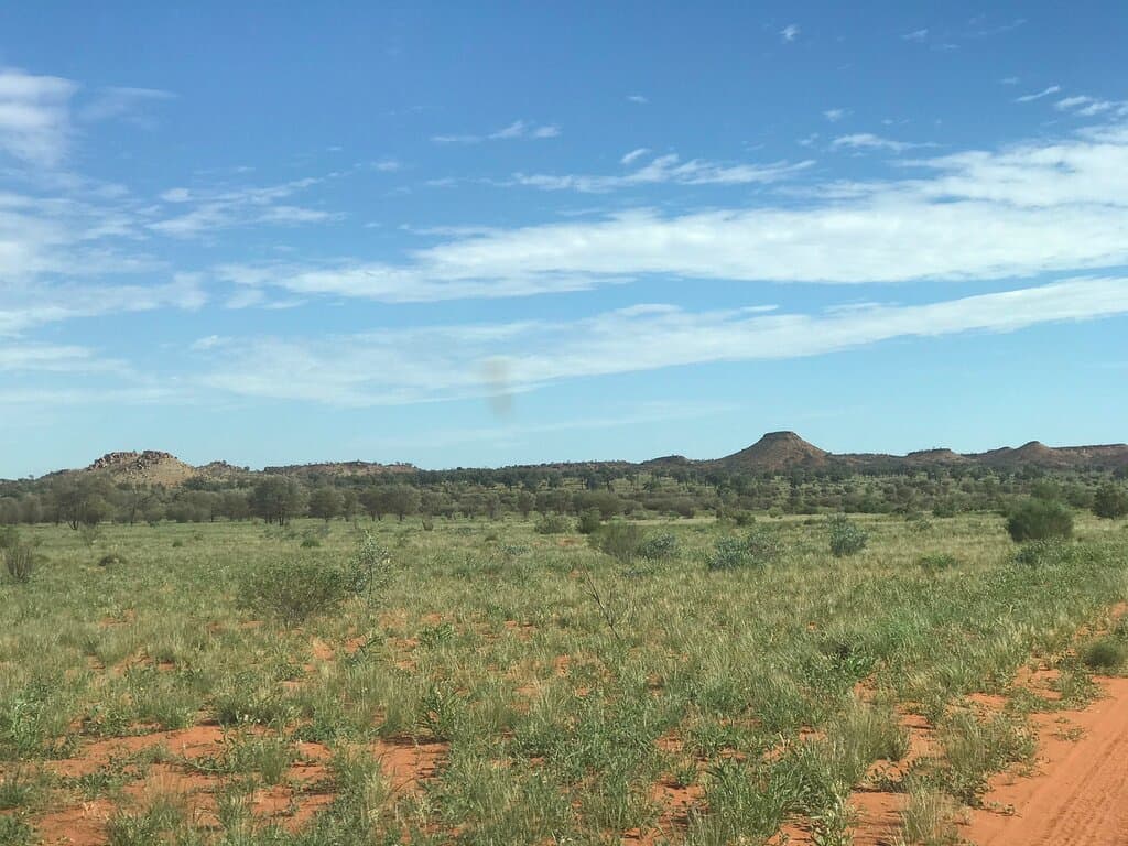 After new year rains the land is lush