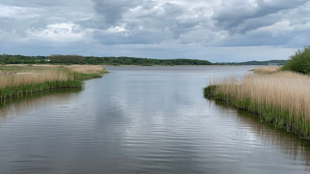 Søen ved indløbet af Aarhus Å