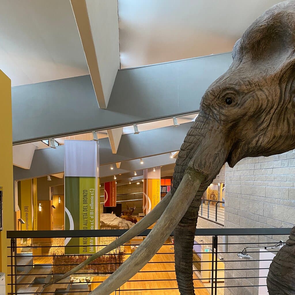 National Museum of the Paleolithic