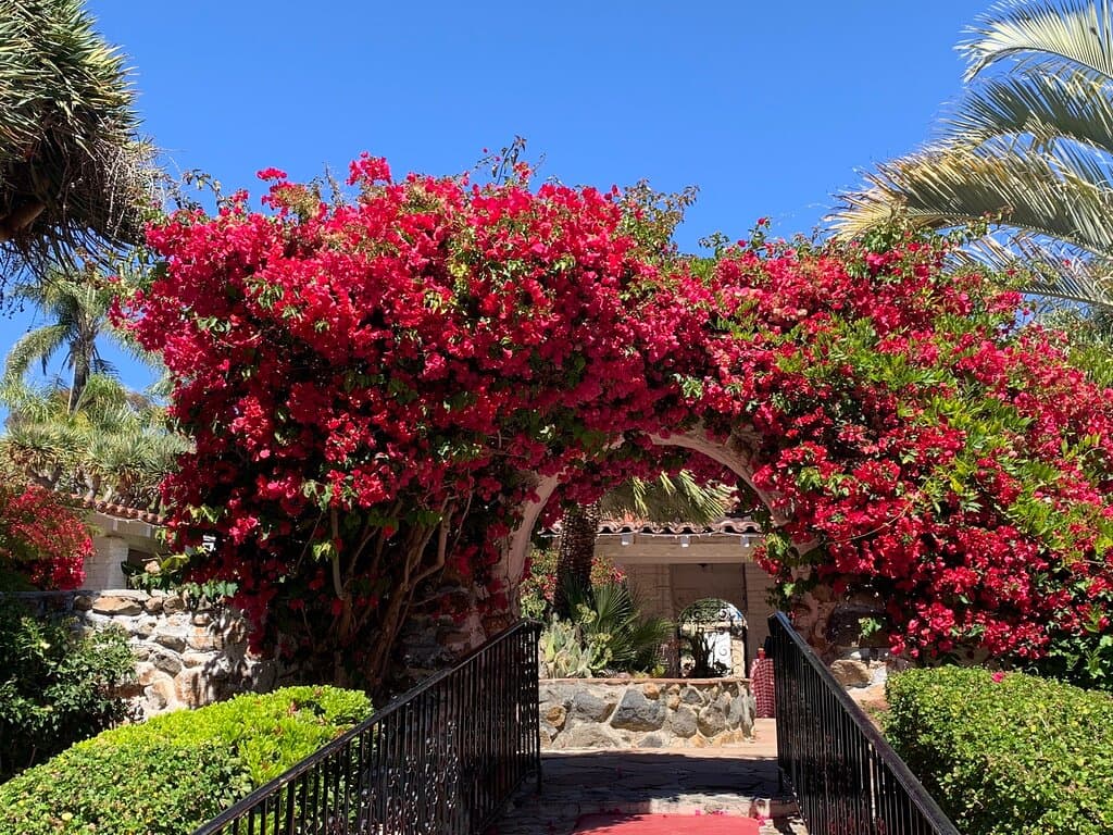 Leo Carrillo Ranch Historic Park