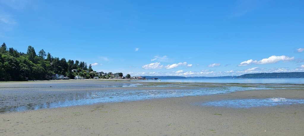 View on the beach