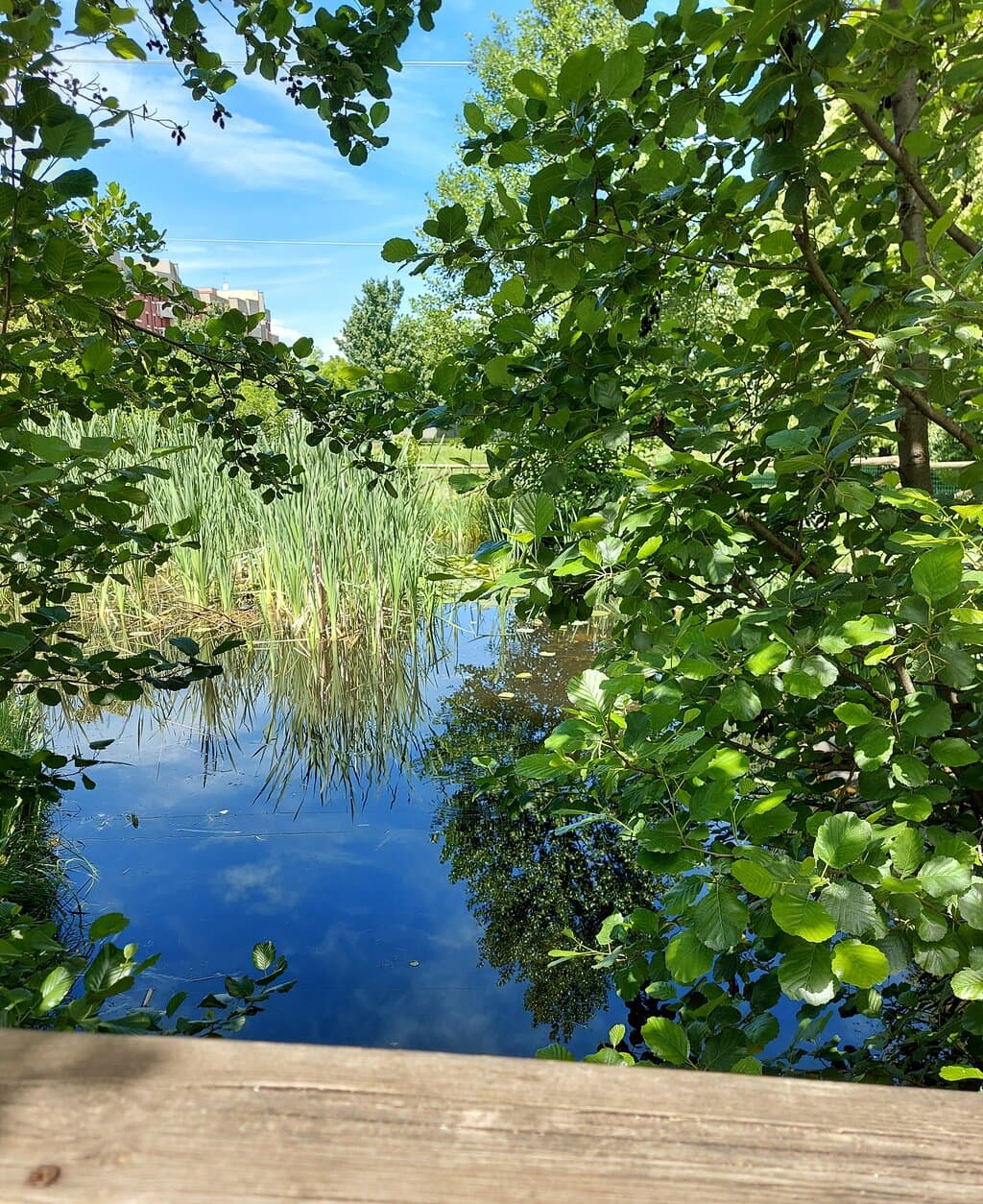 Parco Falcone e Borsellino