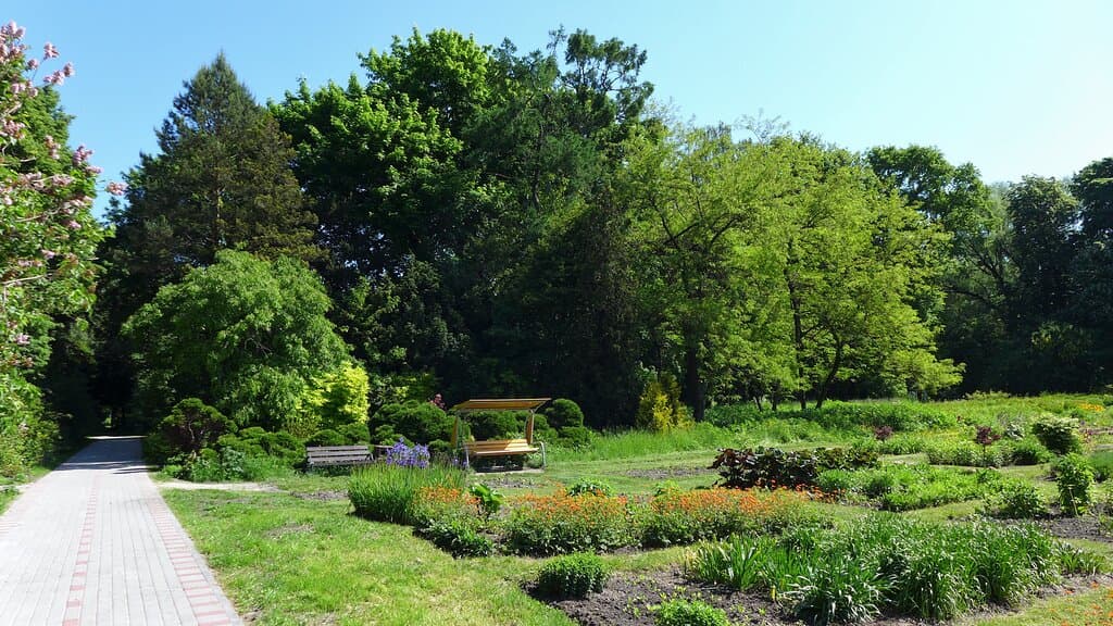 Ботанический сад 