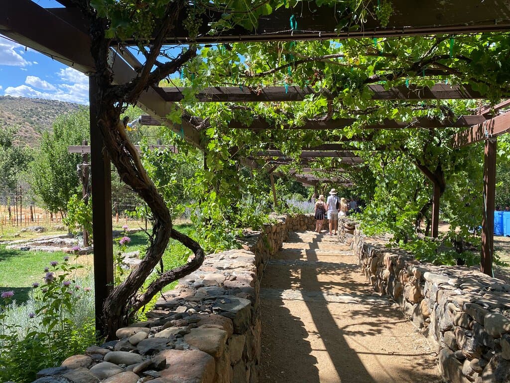 Verde Valley Wine Trail is a must on any visit to Sedona or the surrounding area. Tasting rooms abound, and local vineyards are a must see. 