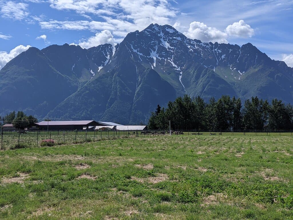 Williams Reindeer Farm