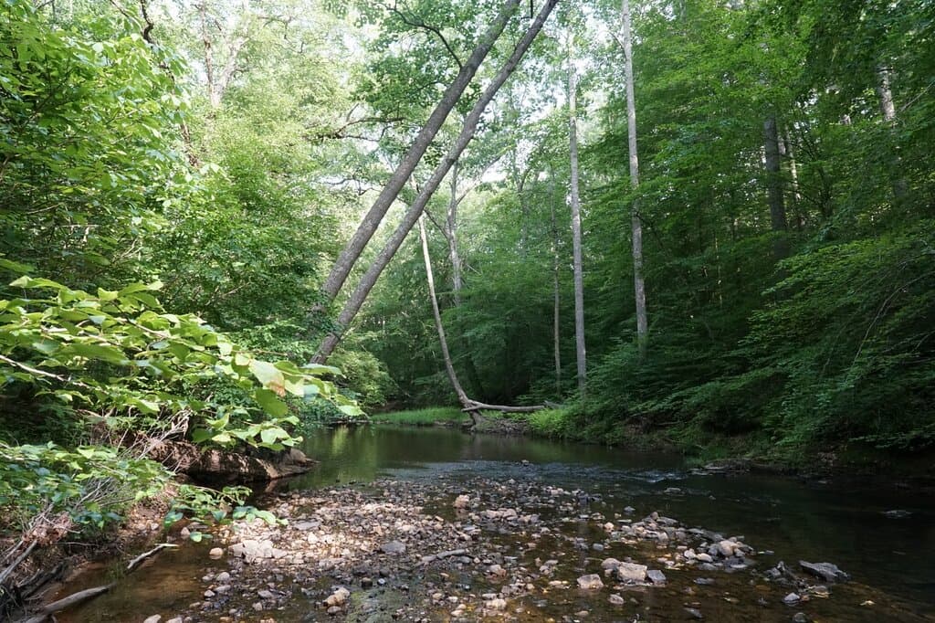 South Fork of Quantico Creek, Prince William Forest Park