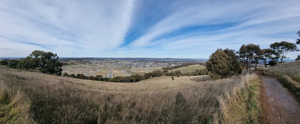 One Tree Hill Lookout