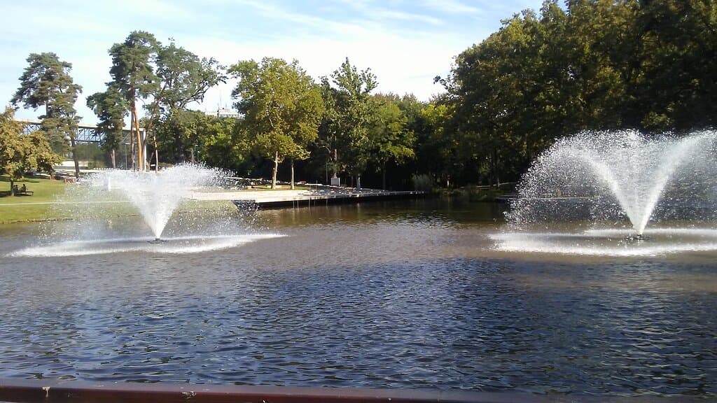 Frog-pond with fountains and forest.