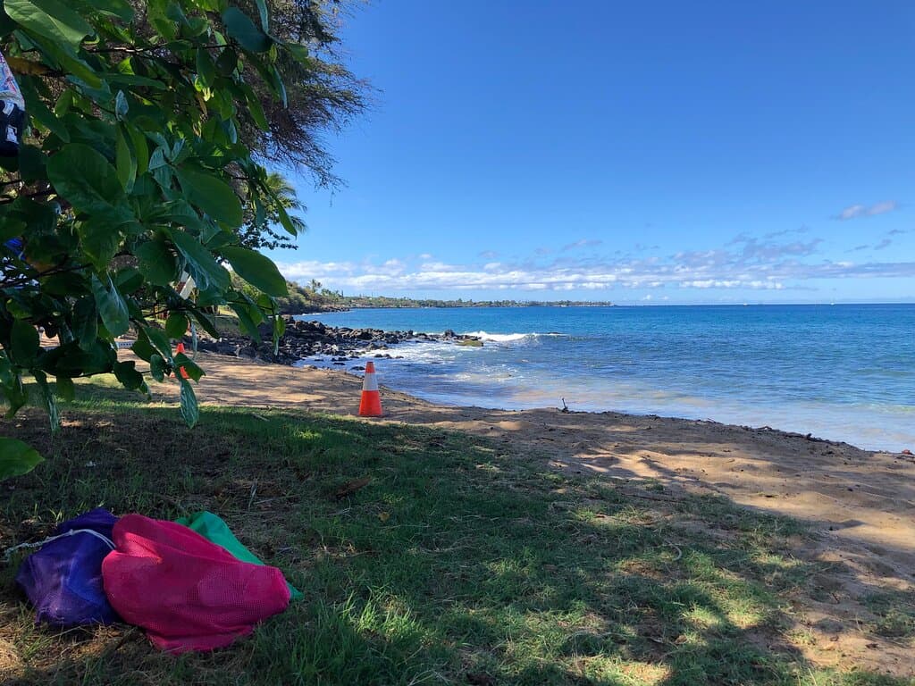 snorkel to the left 