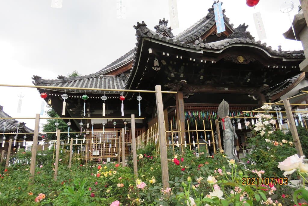 境内景観一例　風鈴まつり　2021年7月3日撮影