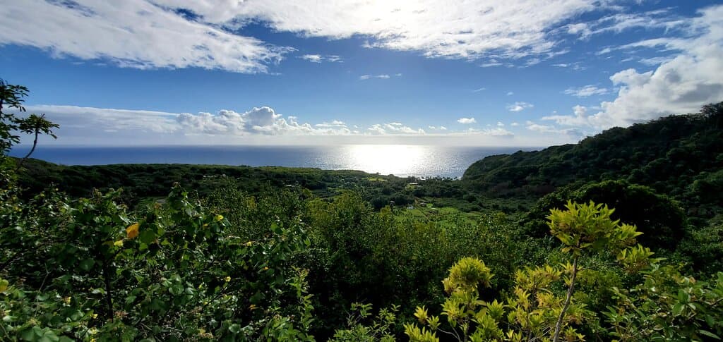 A view of the ocean.