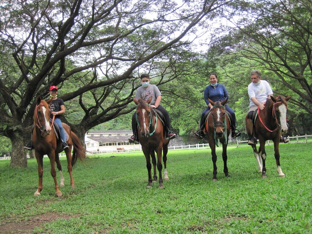 Fantastic Experience